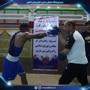بیژن احمد زاده