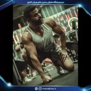 علی داوری