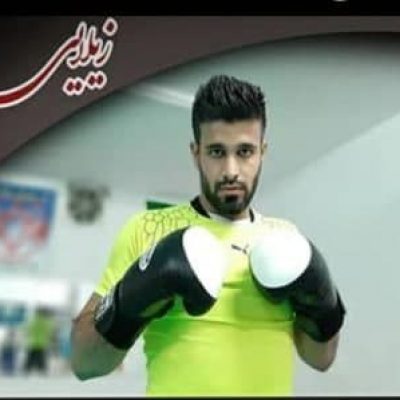 حسین زیلایی